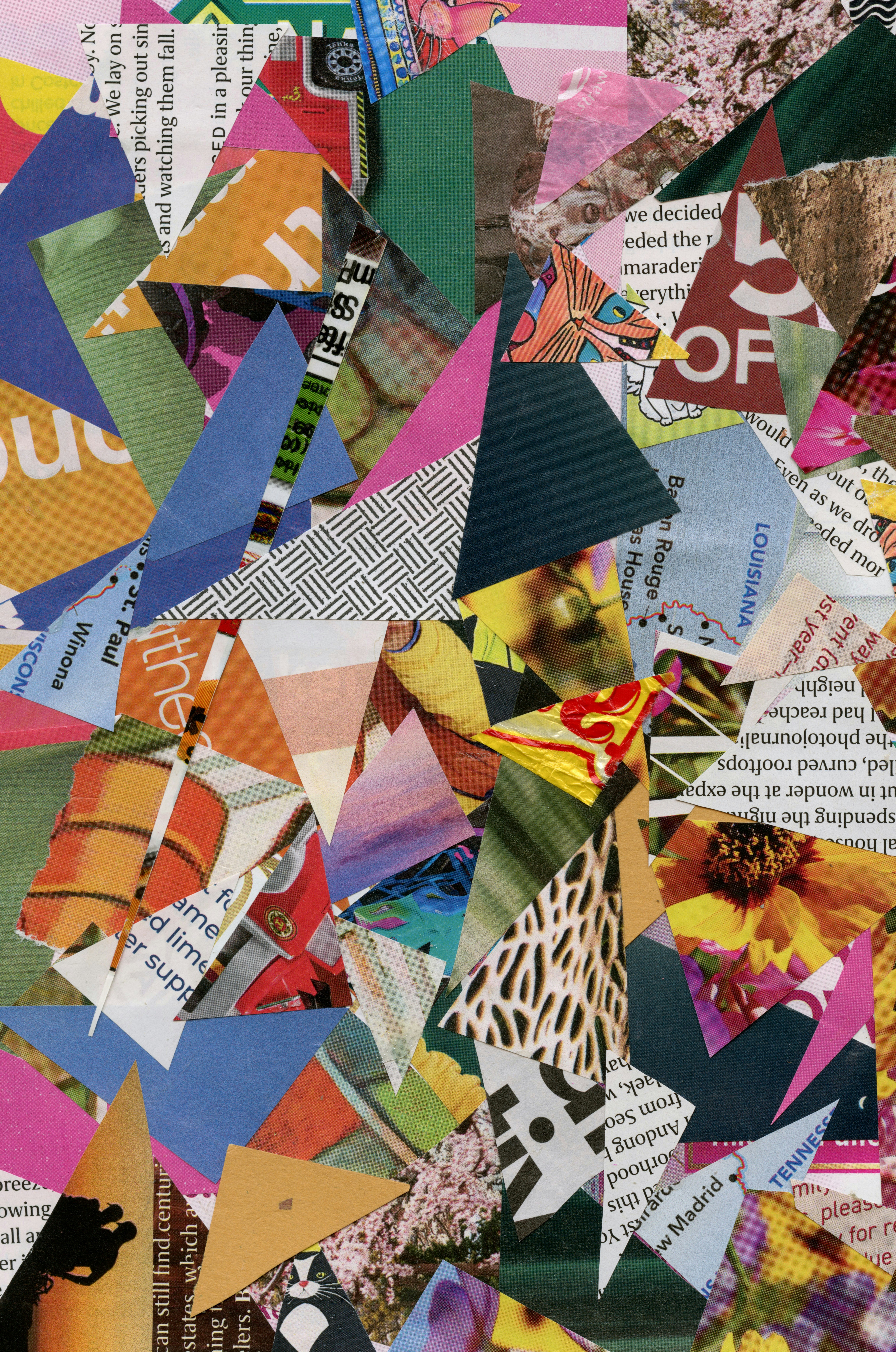 Collage dell'Anima